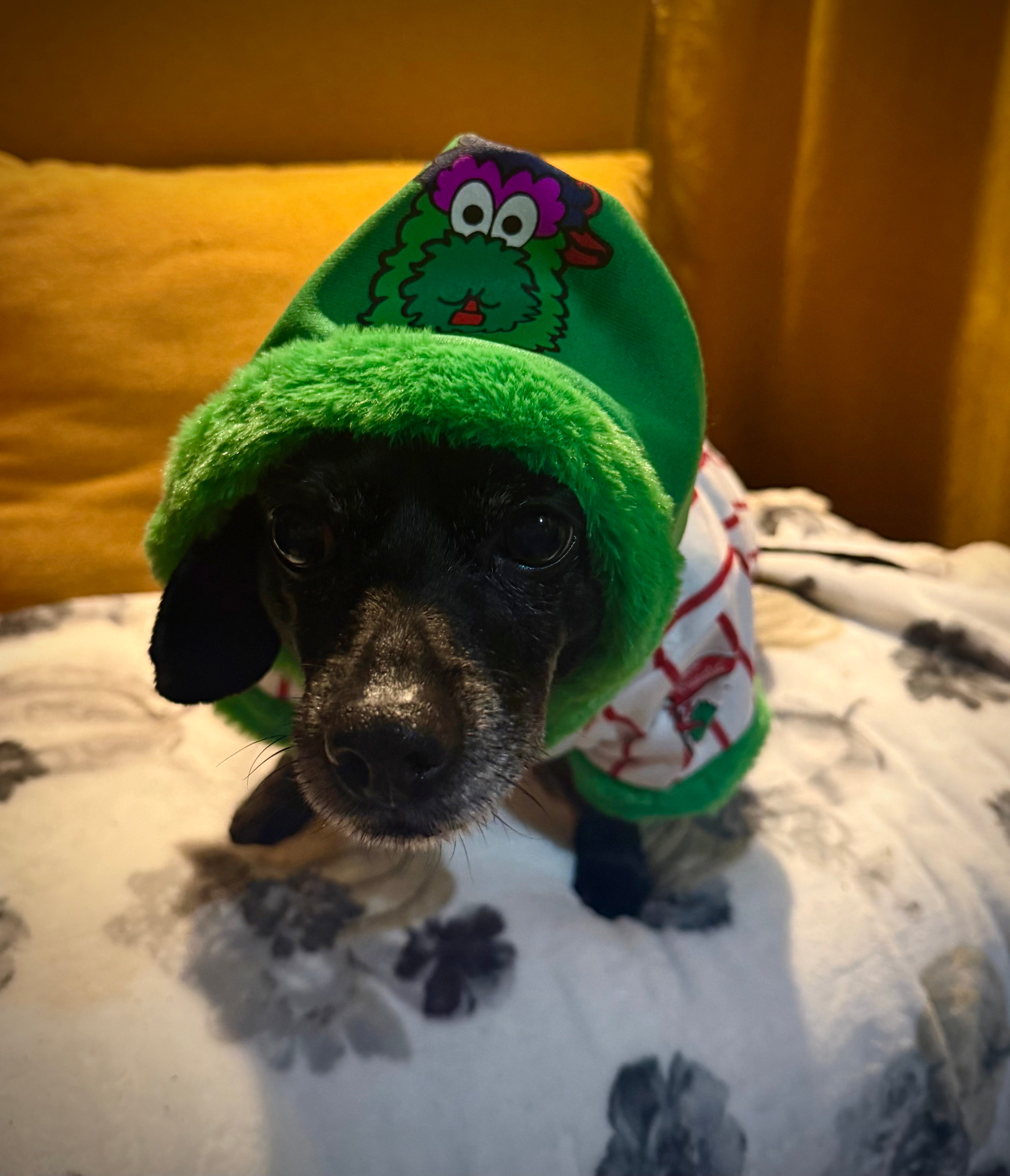 Phillie Phanatic Dog Jersey Hoodie