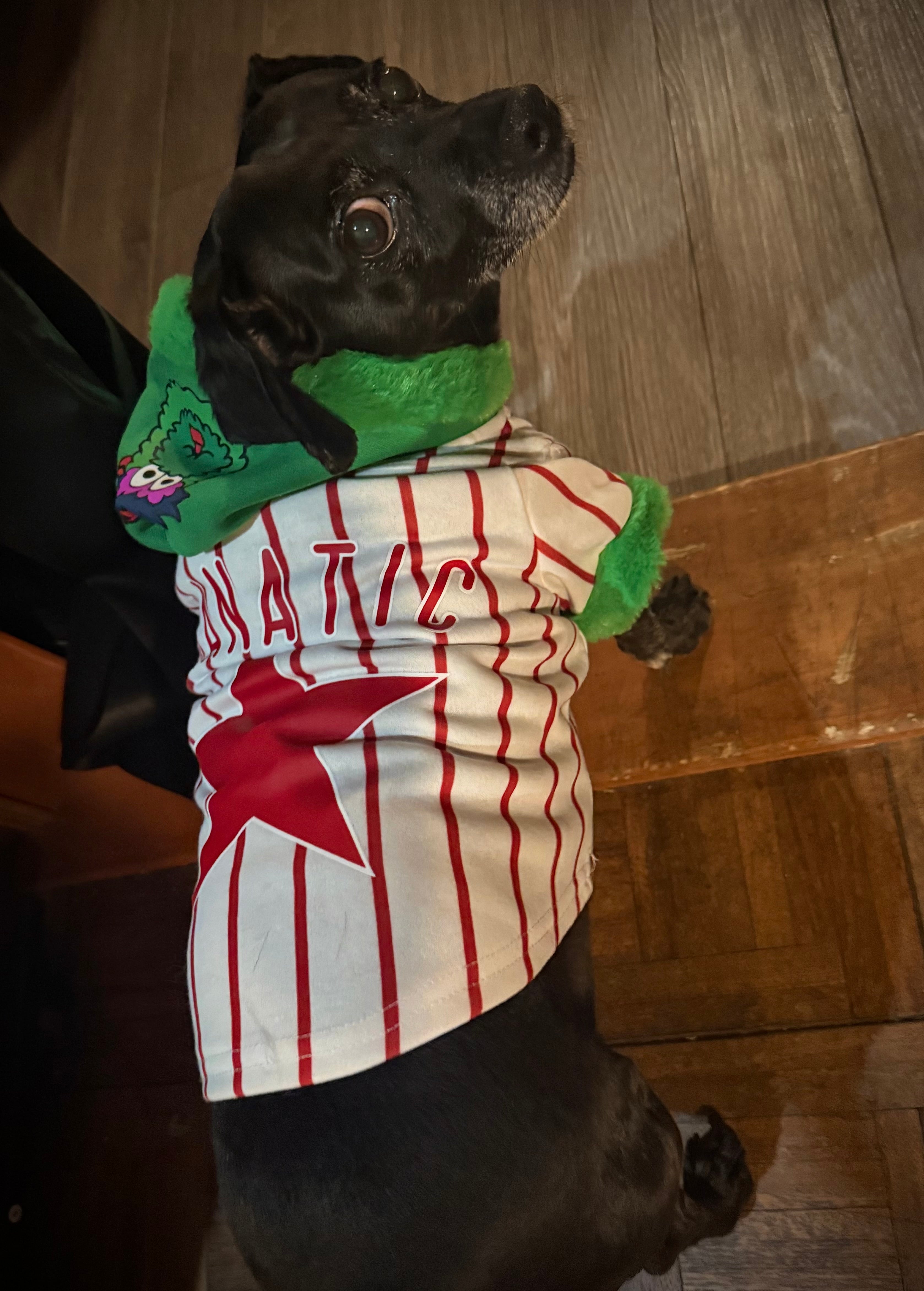 Phillie Phanatic Dog Jersey Hoodie