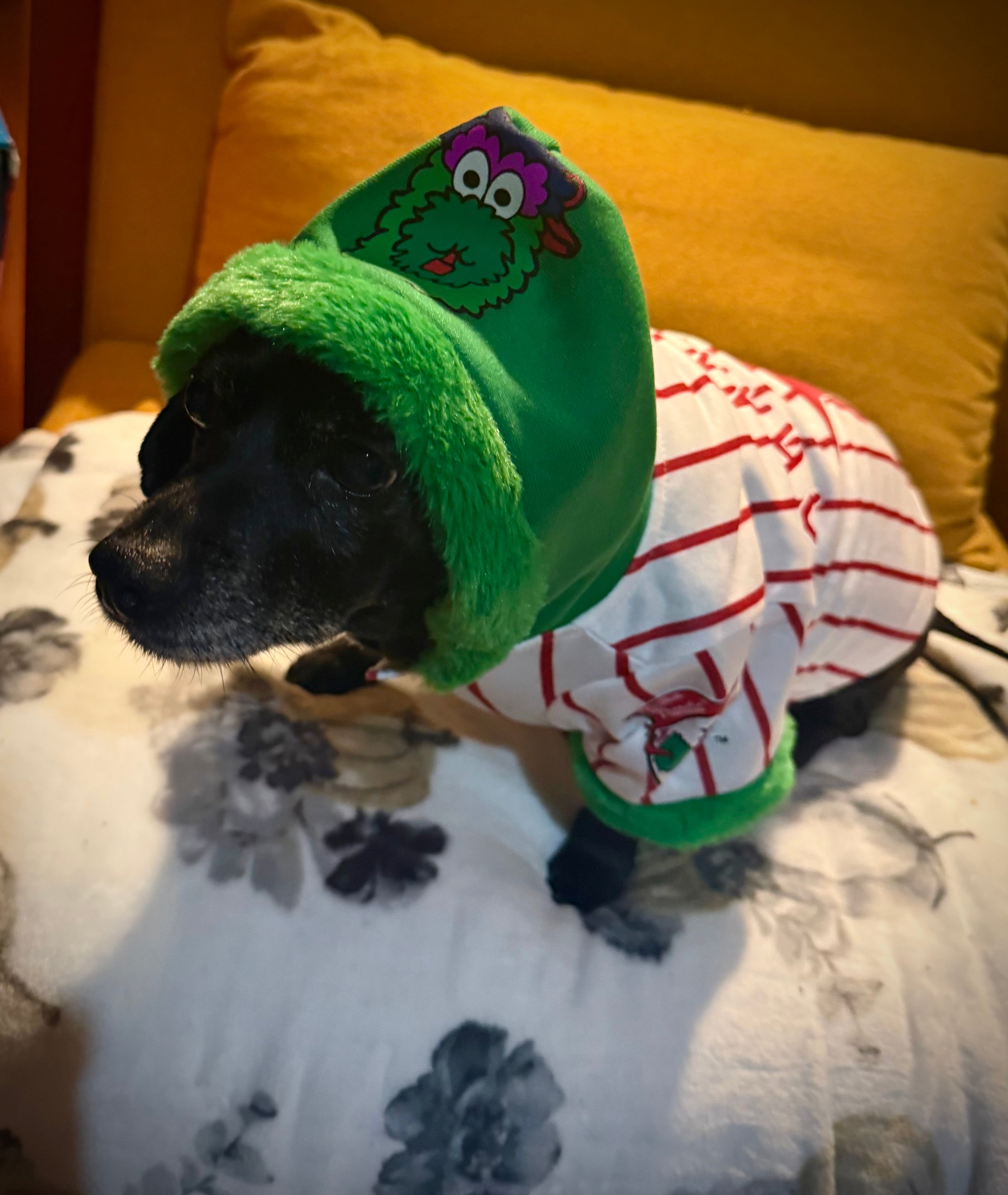 Phillie Phanatic Dog Jersey Hoodie