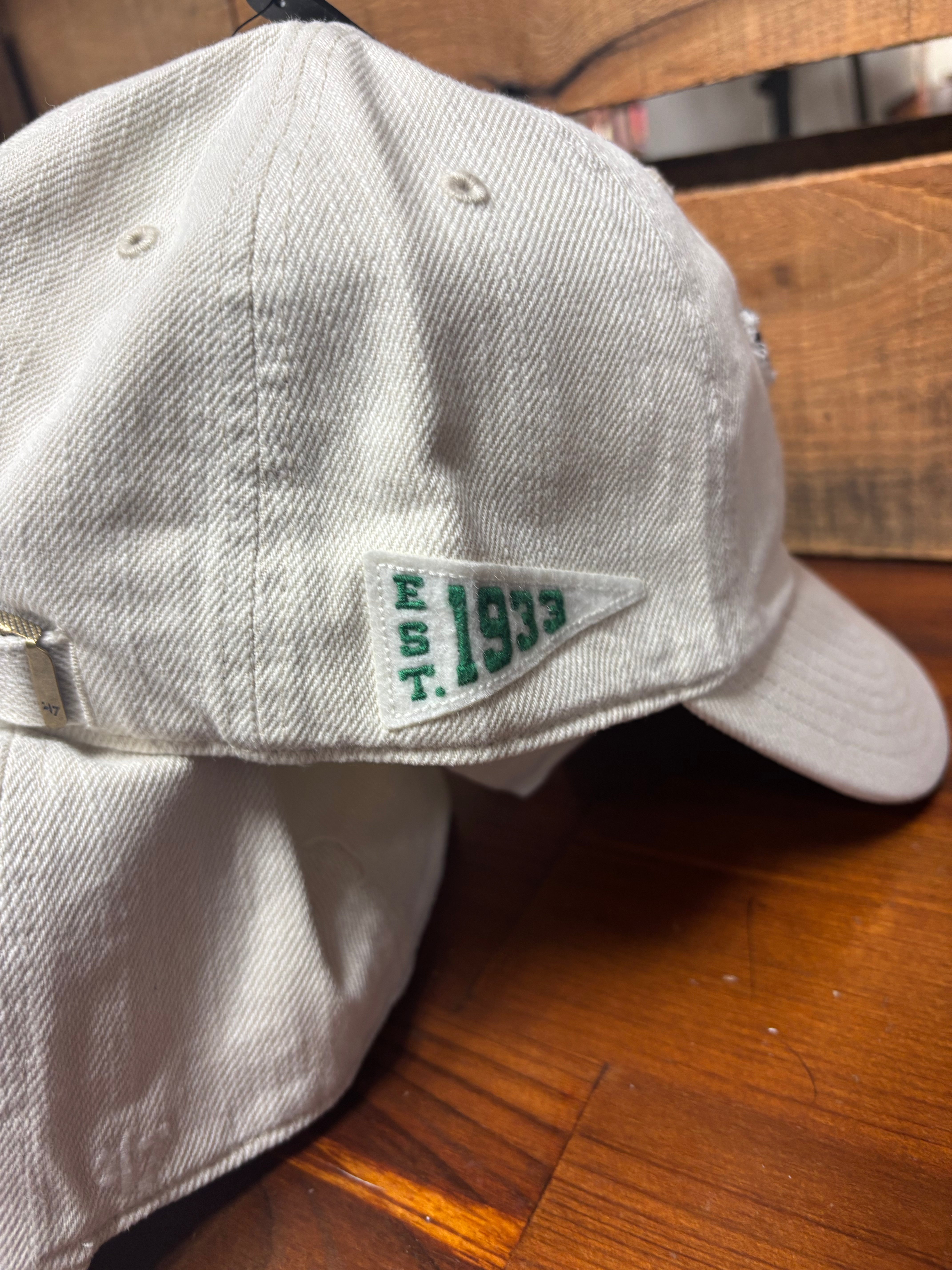 Philadelphia Eagles Historic Mojave Clean Up hat