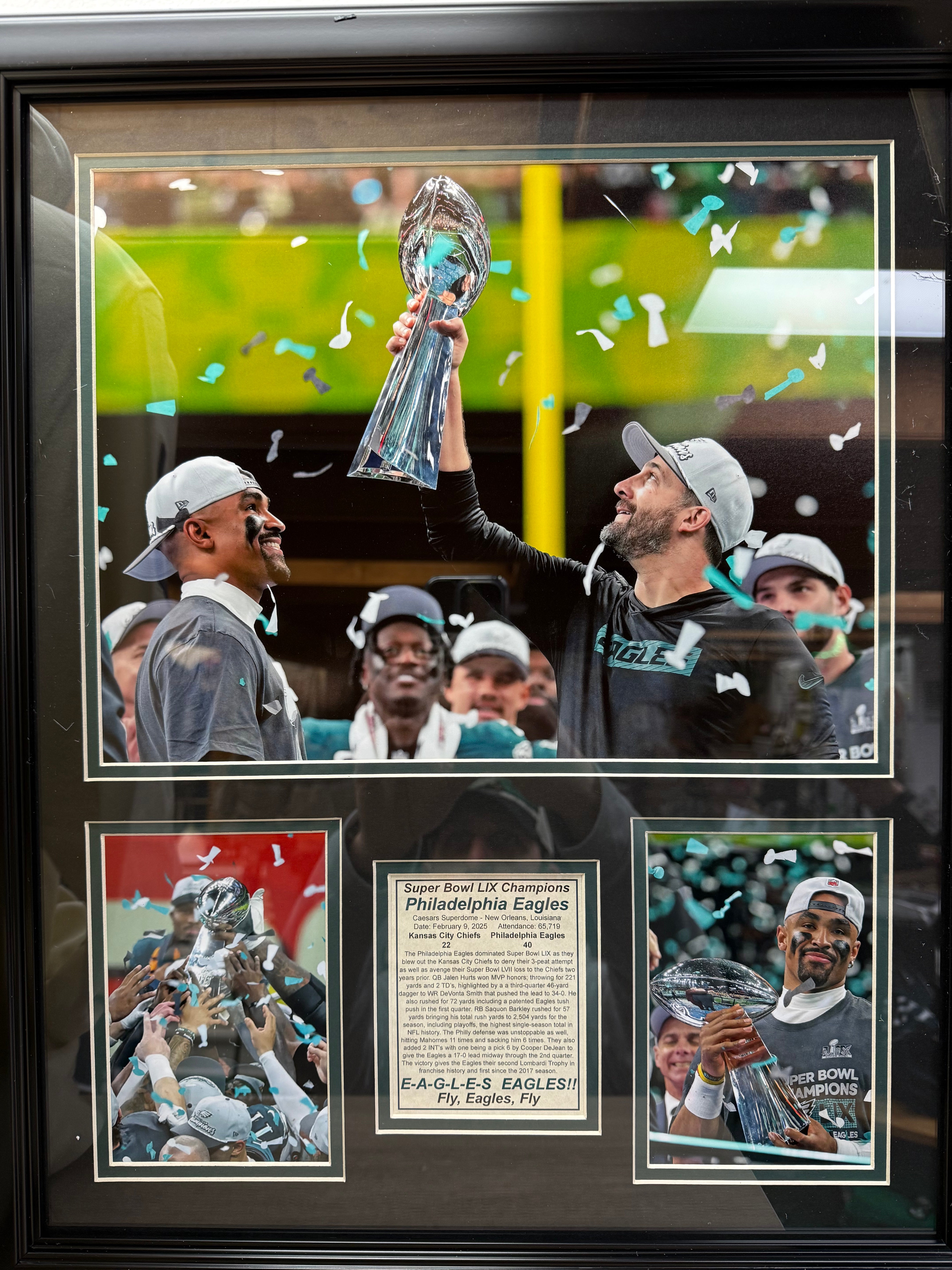 Philadelphia Eagles Super Bowl Champs Framed 16x20 Photo Collectible