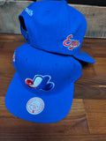 Expos flatbrim