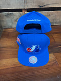 Expos flatbrim